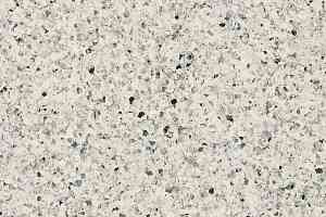 Линолеум Taralay Premium Compact Costa Rica 4743 NUBLO фото  | FLOORDEALER